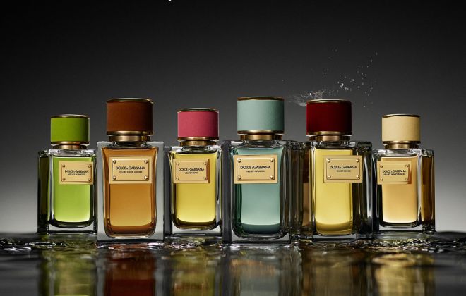 Dolce&Gabbana Introduces Velvet Honey Santal & Velvet Passion Oud