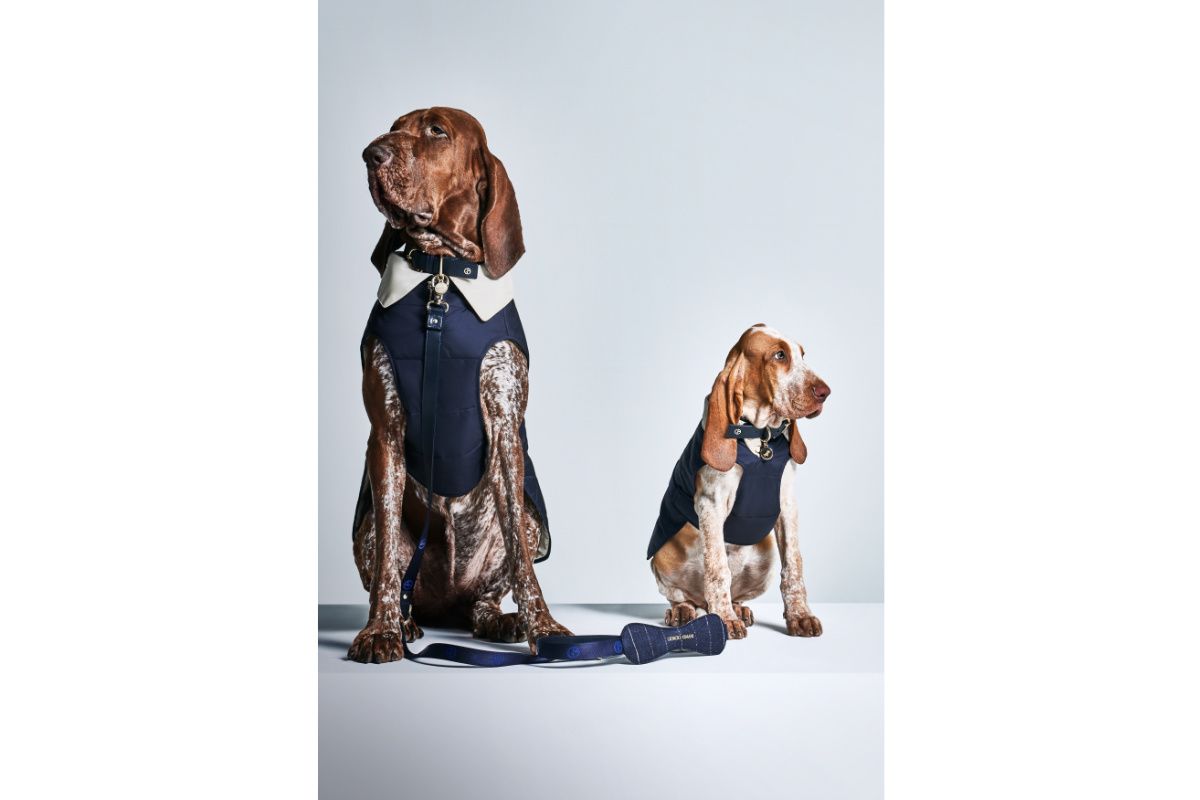 Giorgio Armani Continues The Collaboration With Poldo Dog Couture