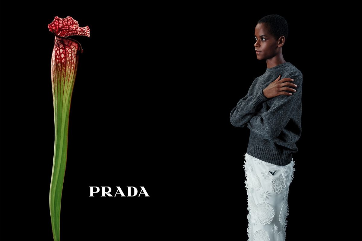 Prada Fall/Winter 2023 Women’s And Men’s Campaign: In Conversation With A Flower