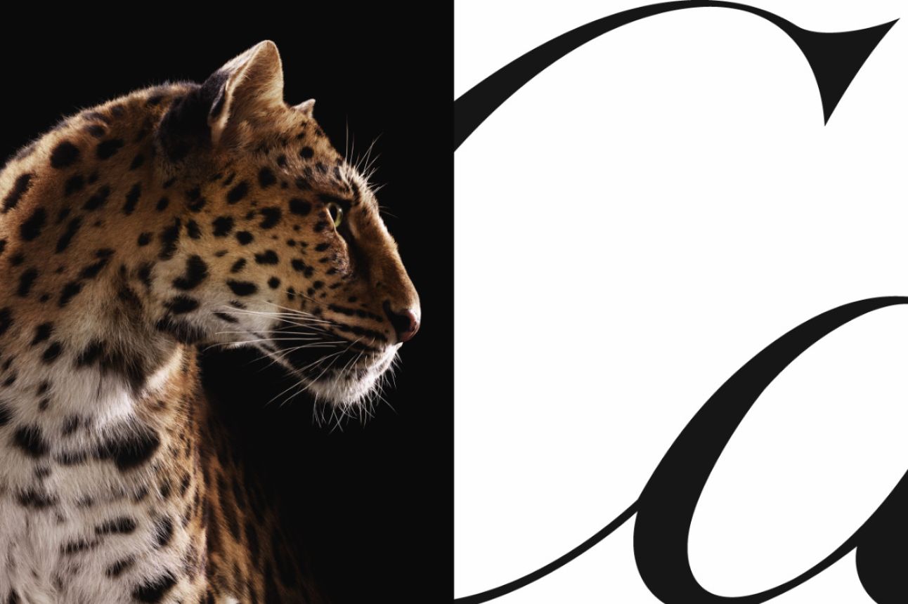 Cartier’s Iconic Panther Takes Over The World’s Most Legendary Cities