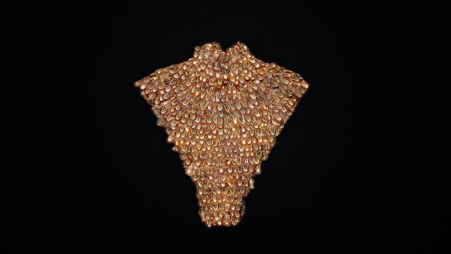 Documenting McQueen - Episode 3: The Widows Of Culloden