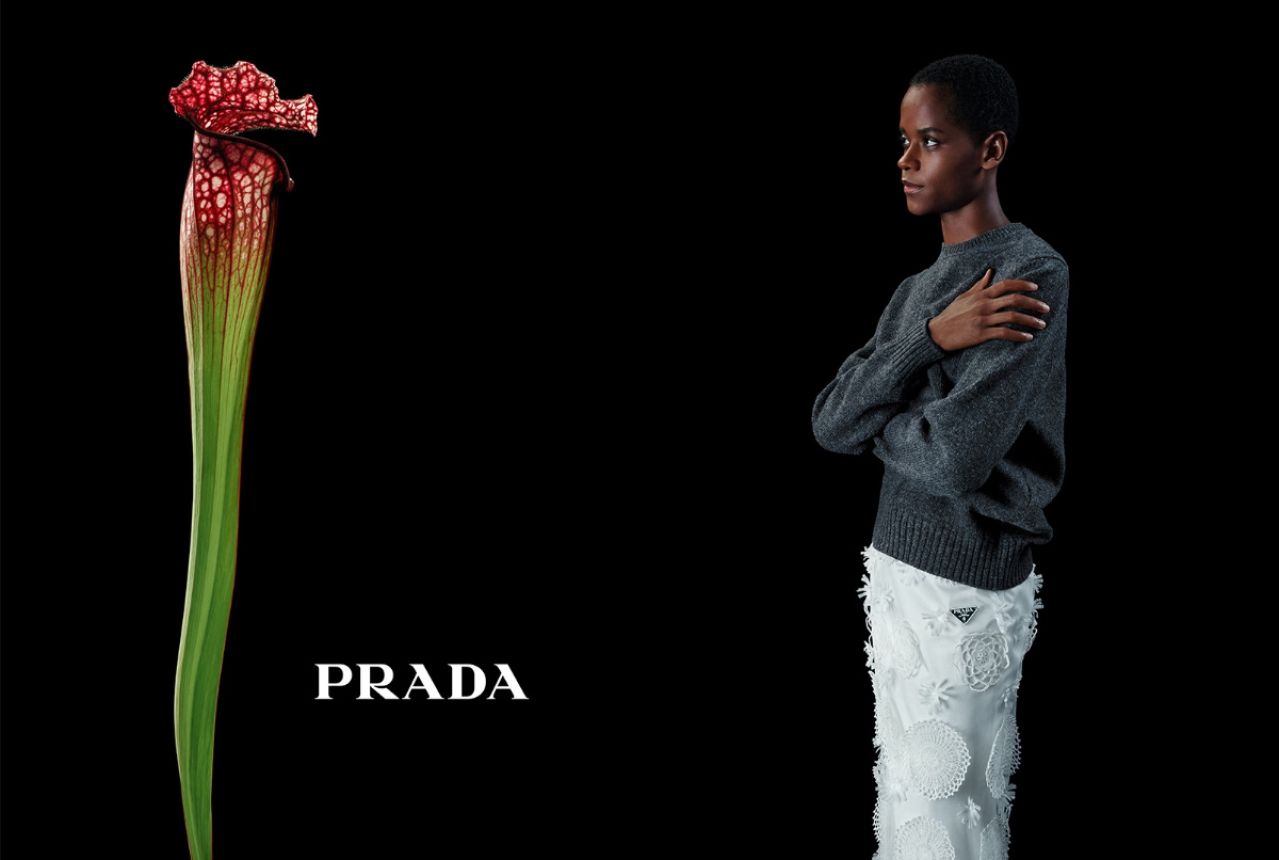 Prada Fall/Winter 2023 Women’s And Men’s Campaign: In Conversation With A Flower
