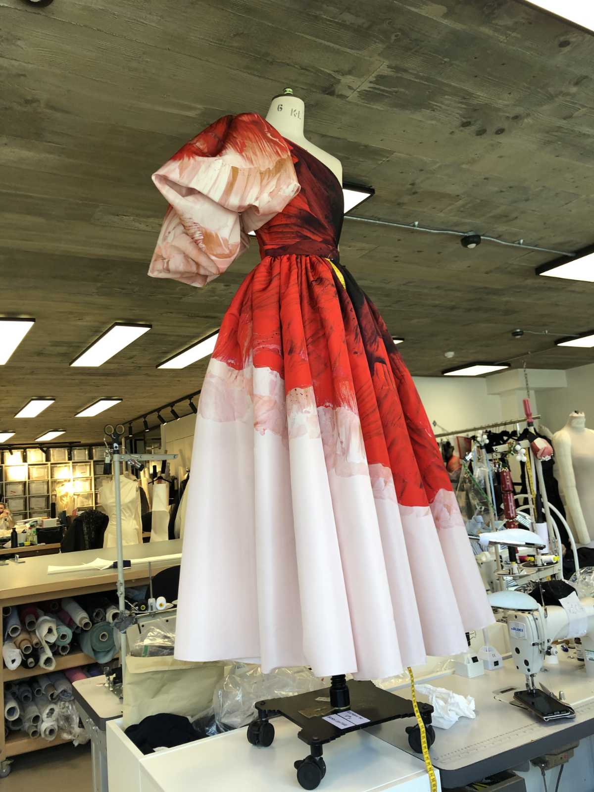 Alexander McQueen: Anemone Print Dresses