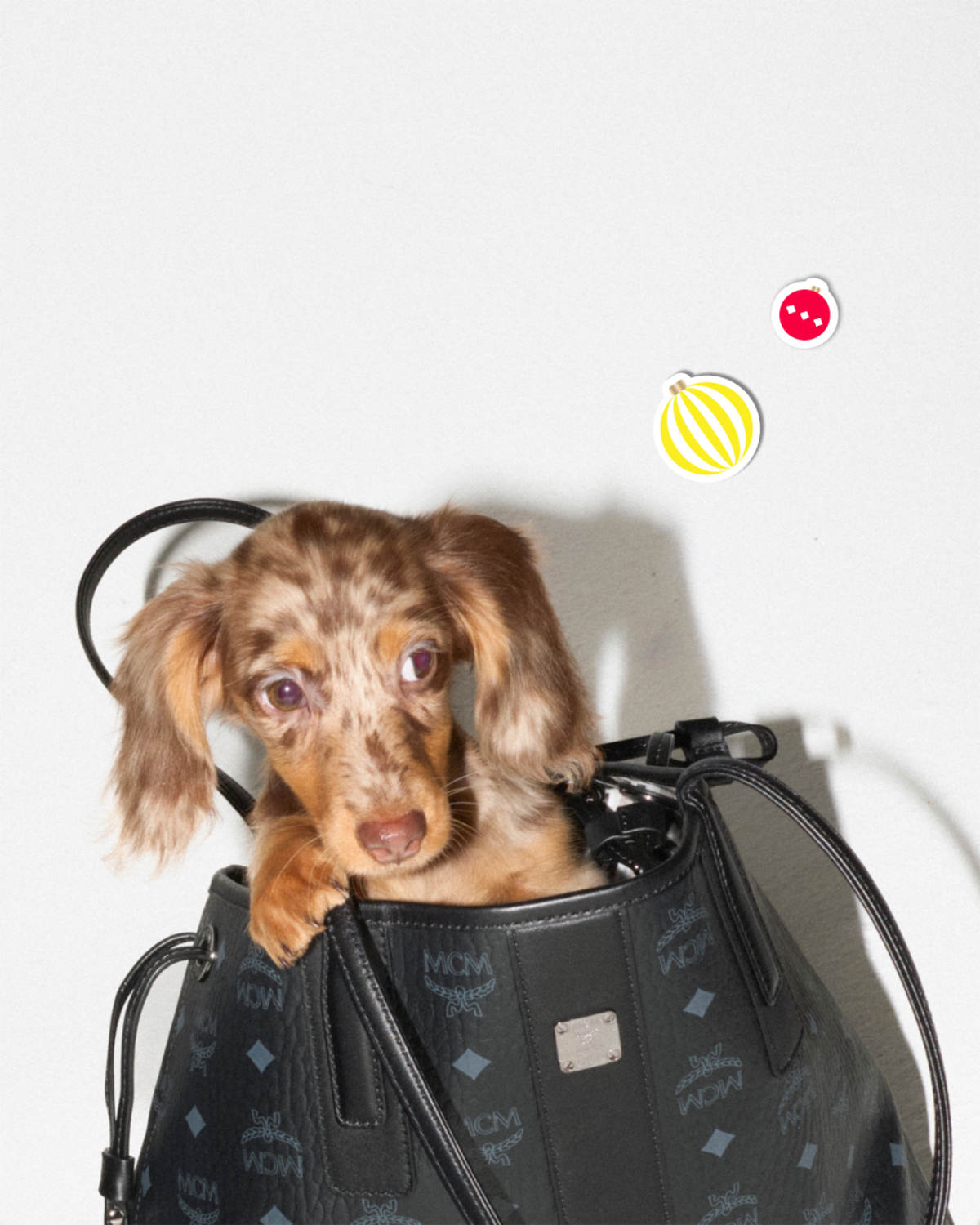 MCM Presents Its New 2024 Festive Campaign: A Holiday Tail