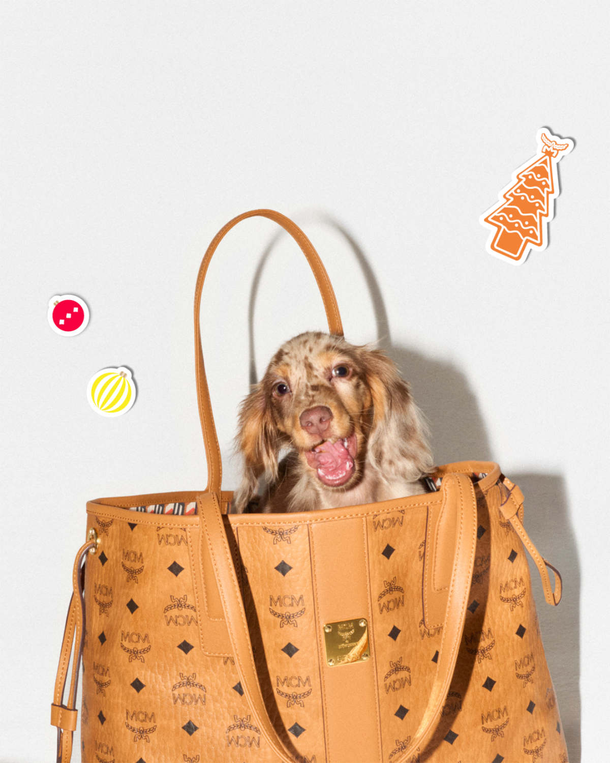 MCM Presents Its New 2024 Festive Campaign: A Holiday Tail