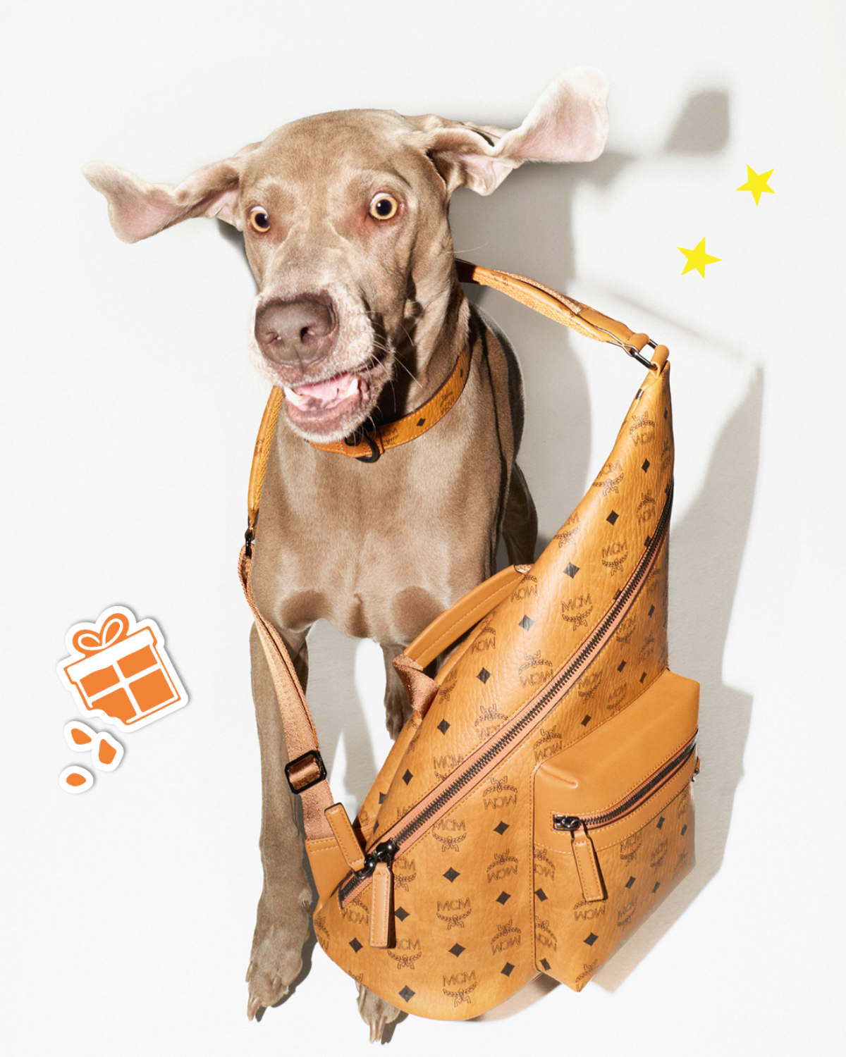 MCM Presents Its New 2024 Festive Campaign: A Holiday Tail