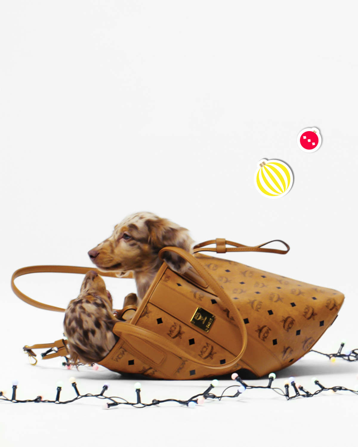 MCM Presents Its New 2024 Festive Campaign: A Holiday Tail