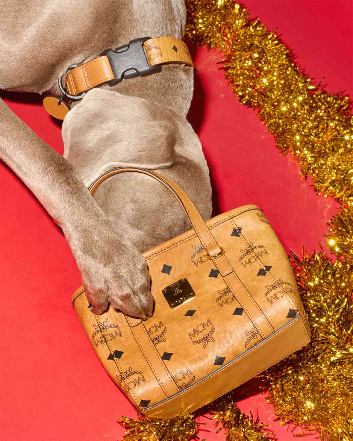 MCM Presents Its New 2024 Festive Campaign: A Holiday Tail