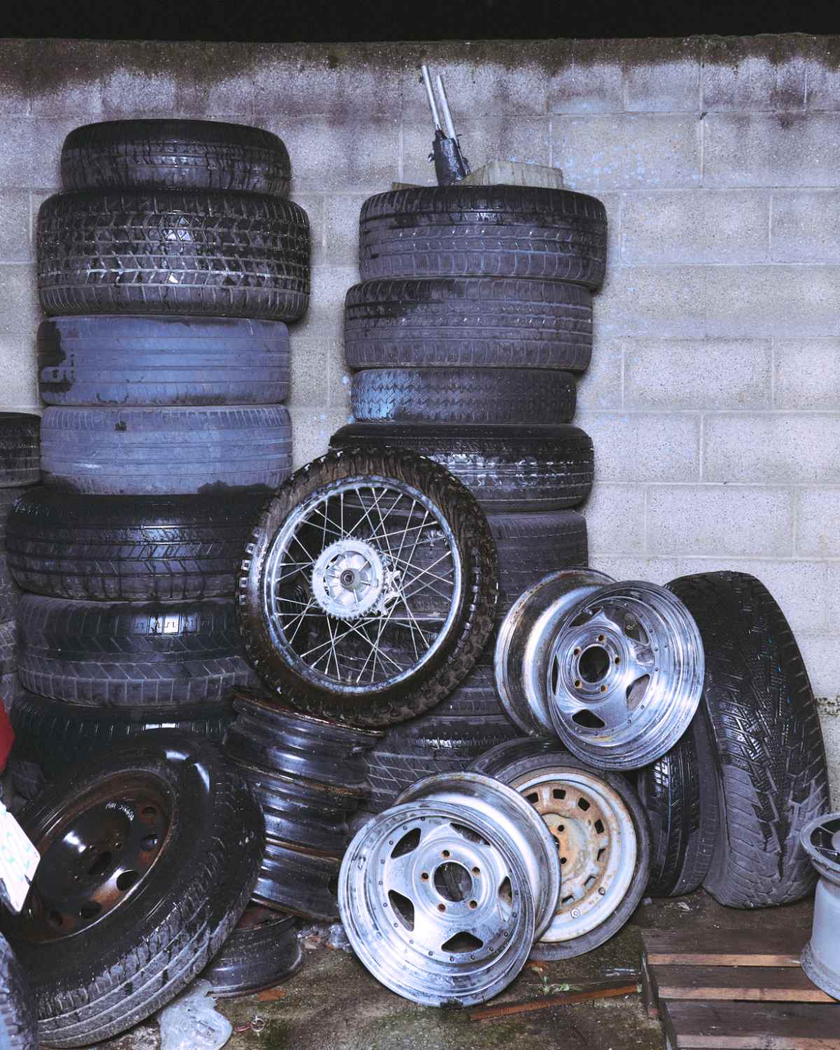 Just Cavalli Fall/Winter 2026: A New Era Of Luxe Rebellion