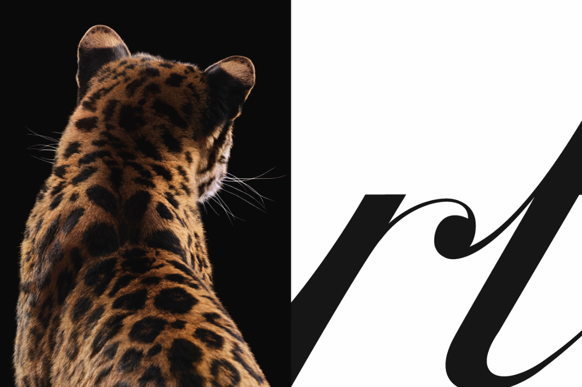 Cartier’s Iconic Panther Takes Over The World’s Most Legendary Cities
