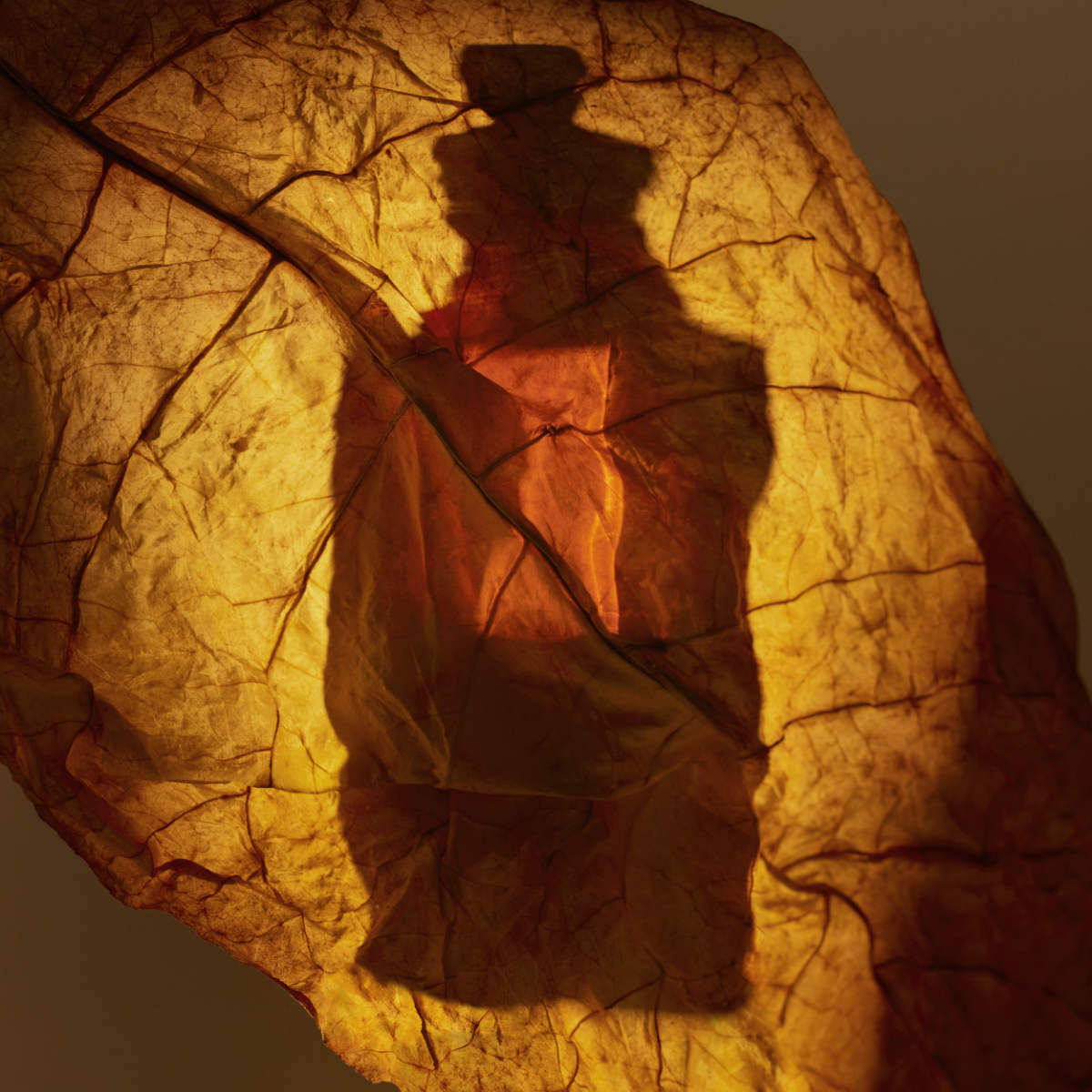 Dries Van Noten Beauty Introduces Its New Havana Gold Eau De Parfum