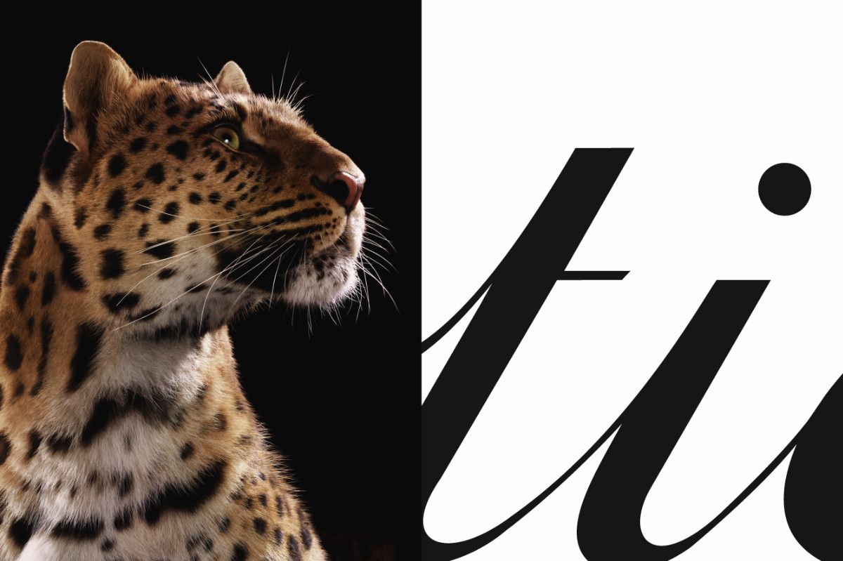 Cartier’s Iconic Panther Takes Over The World’s Most Legendary Cities