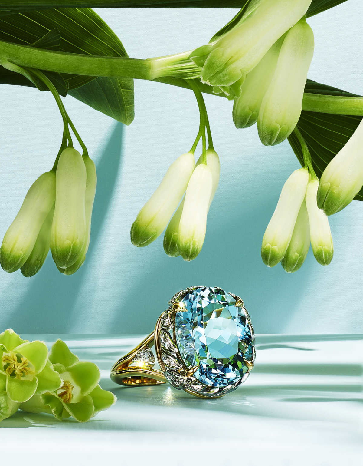 Tiffany & Co.'s BOTANICA Floral High jewellery Collection