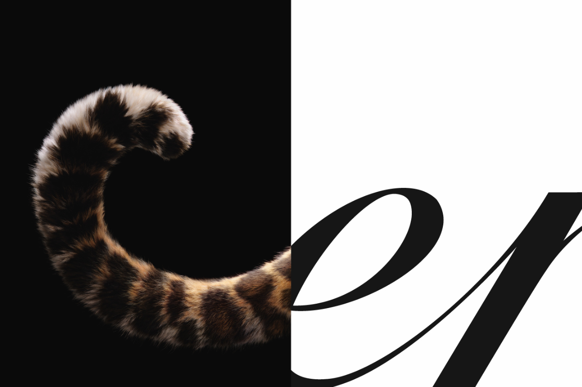 Cartier’s Iconic Panther Takes Over The World’s Most Legendary Cities