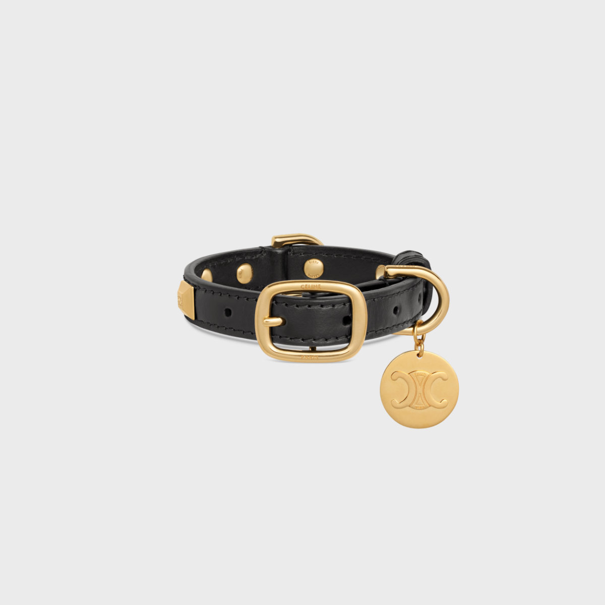 Celine Maison Launches Its New Dog Accessories Collection Campaign