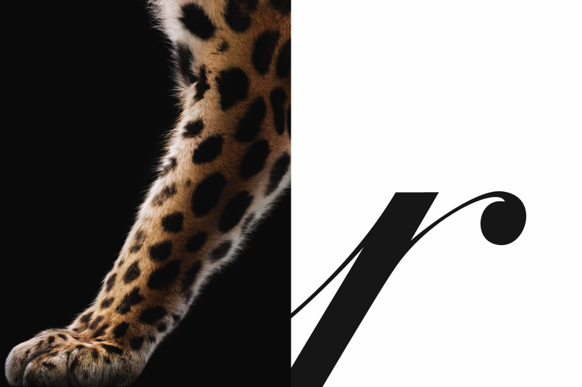 Cartier’s Iconic Panther Takes Over The World’s Most Legendary Cities