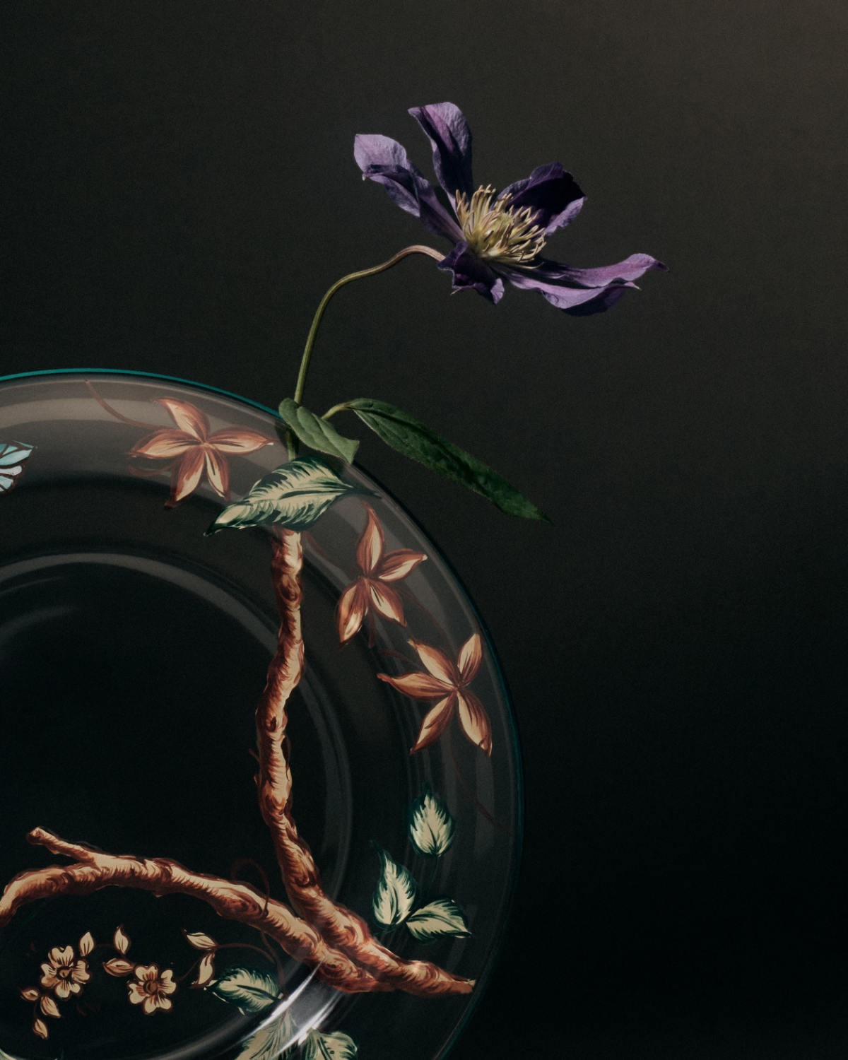 Dior’s Ranelagh Collection: A Poetic Homage To Nature And Heritage