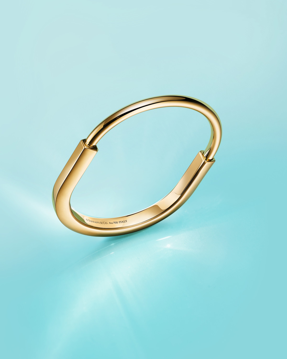 Beautiful Tiffany & Co. Jewellery Pieces For Valentine’s Day 2024