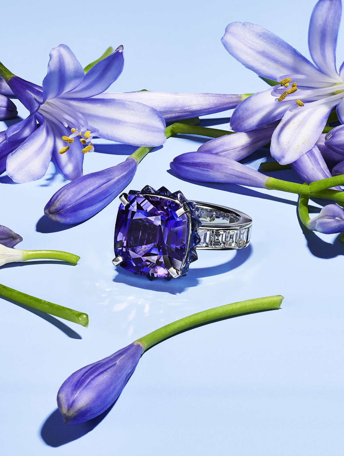 Tiffany & Co. Introduces Its New Blue Book 2022: BOTANICA