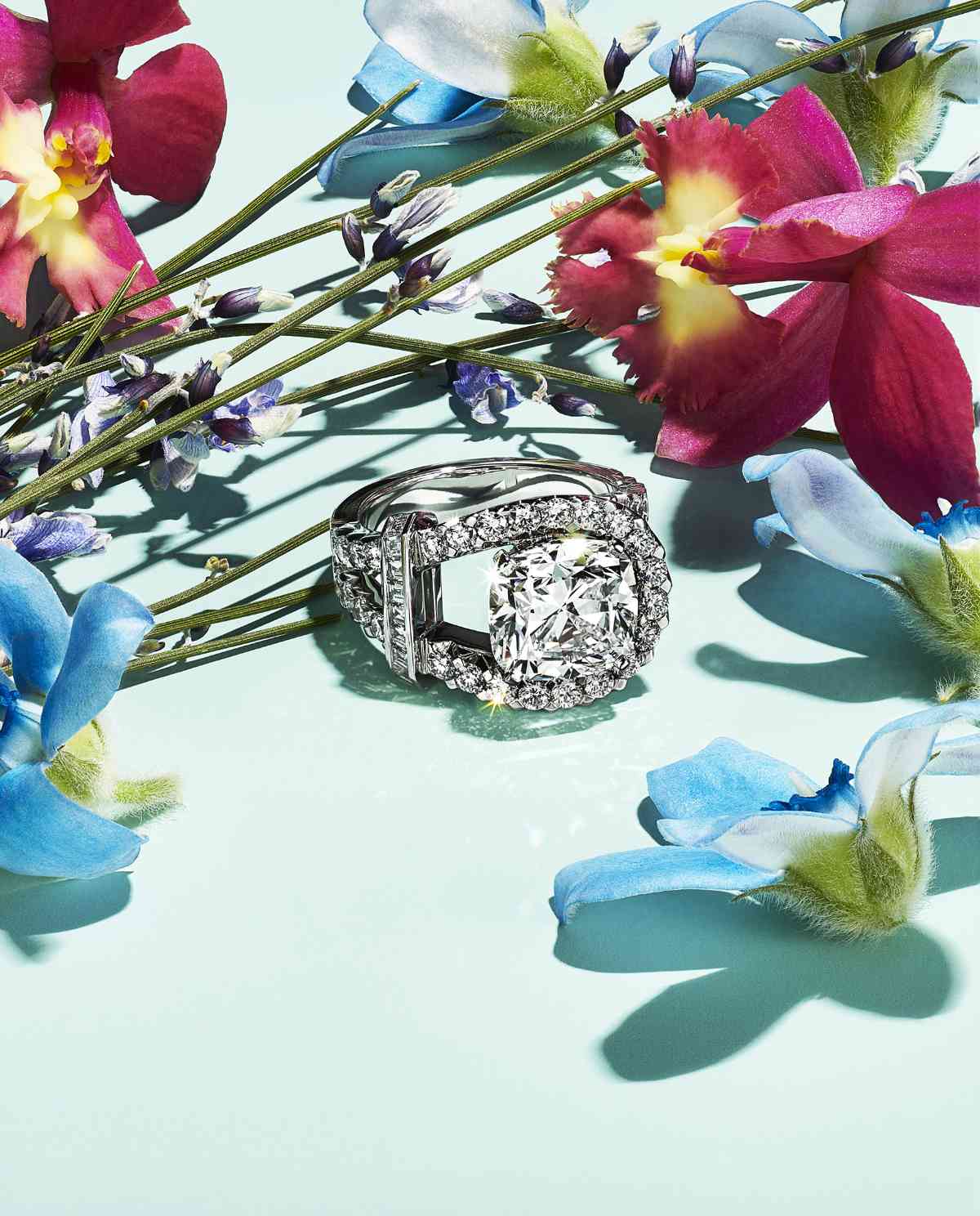 Tiffany & Co.: Tiffany & Co. Presents Its New BOTANICA Blue Book Fall 2022:  Wisteria - Luxferity