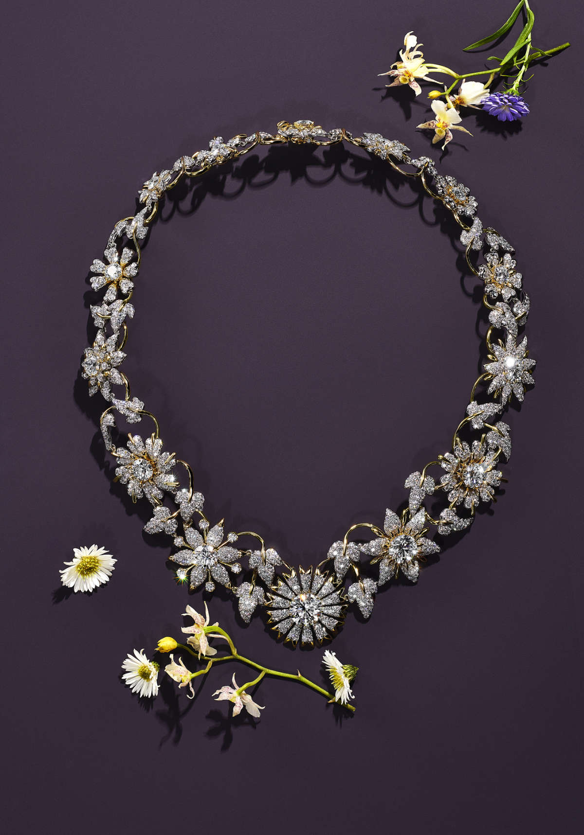 Tiffany & Co.'s BOTANICA Floral High jewellery Collection