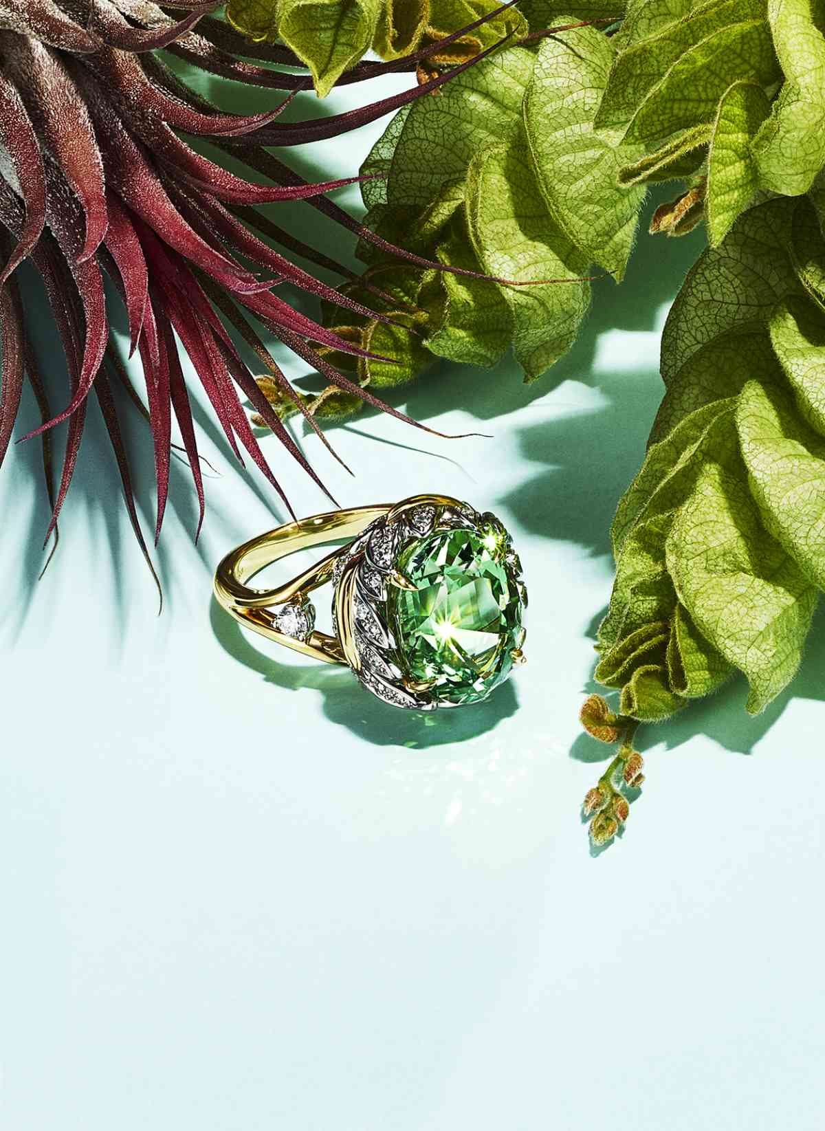 Tiffany & Co. Introduces Its New Blue Book 2022: BOTANICA