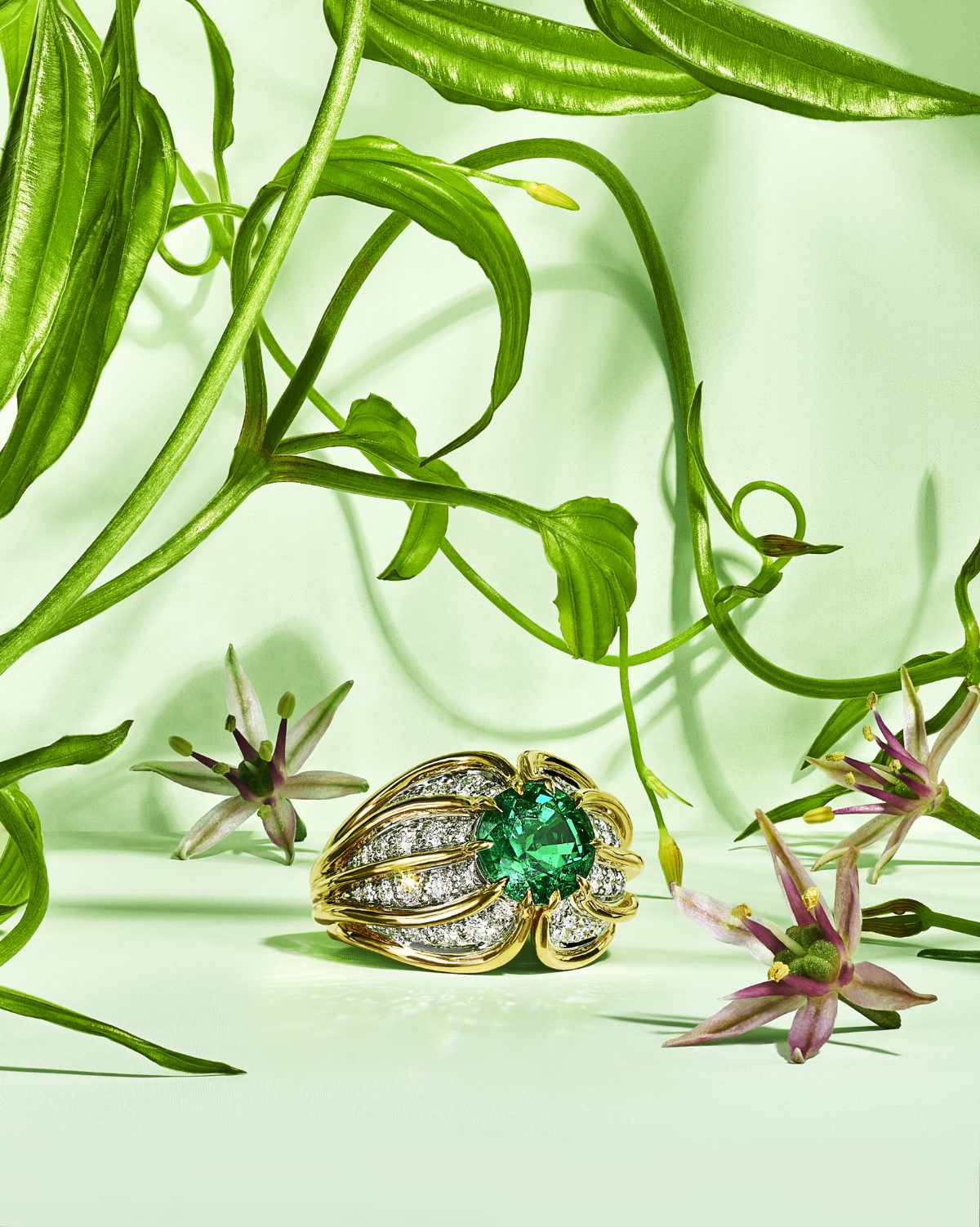 Tiffany & Co. Introduces New Floral-inspired Masterworks For Its BOTANICA