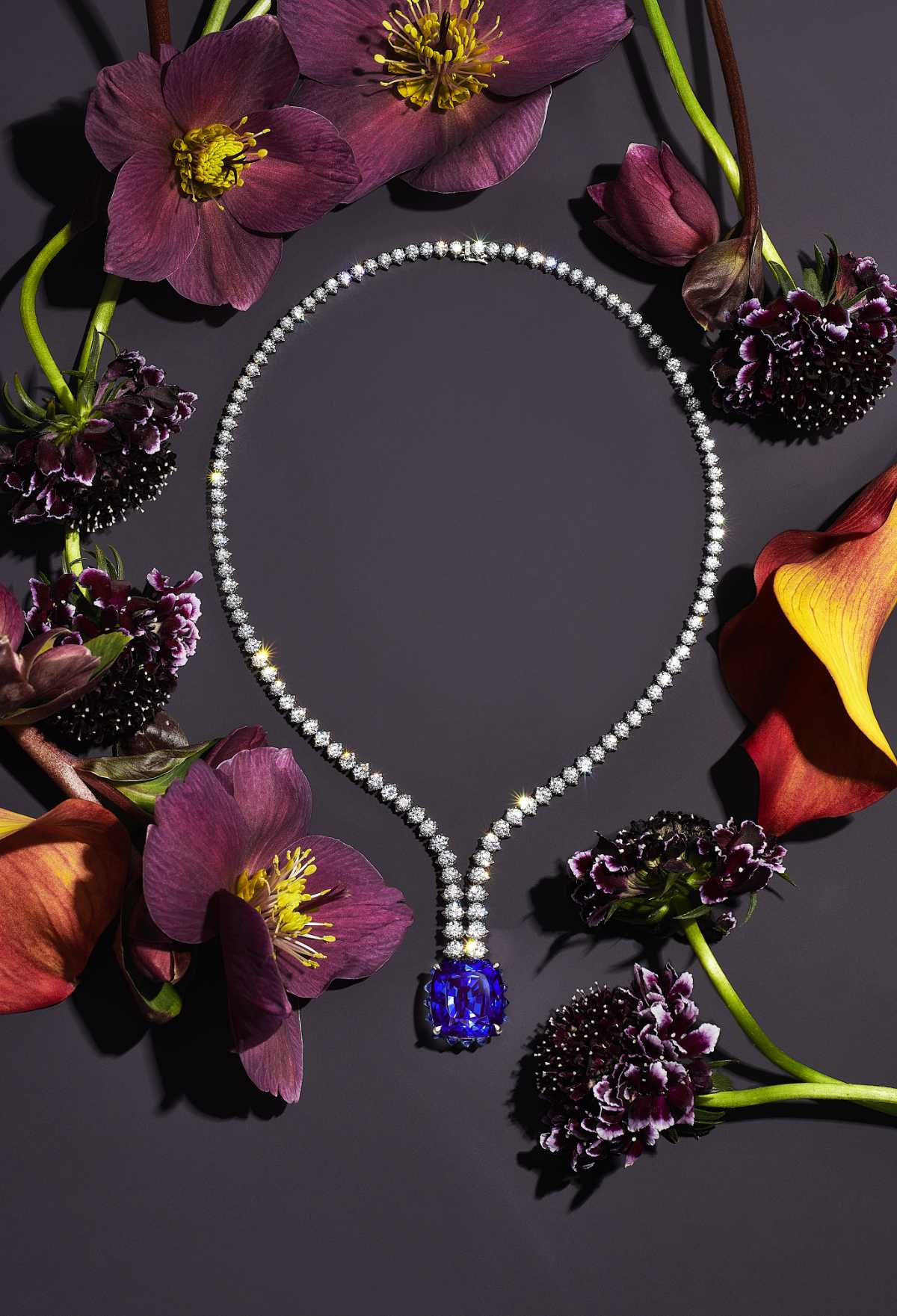 Tiffany & Co.: Tiffany & Co. Presents Its New BOTANICA Blue Book Fall 2022:  Wisteria - Luxferity