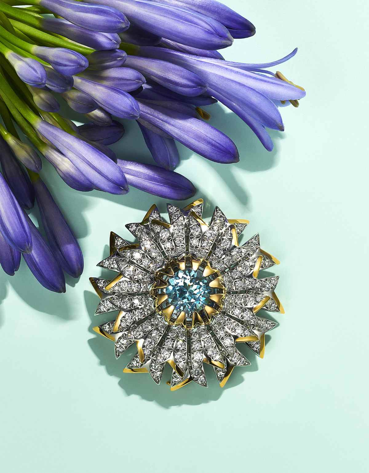 Tiffany & Co. Introduces Its New Blue Book 2022: BOTANICA