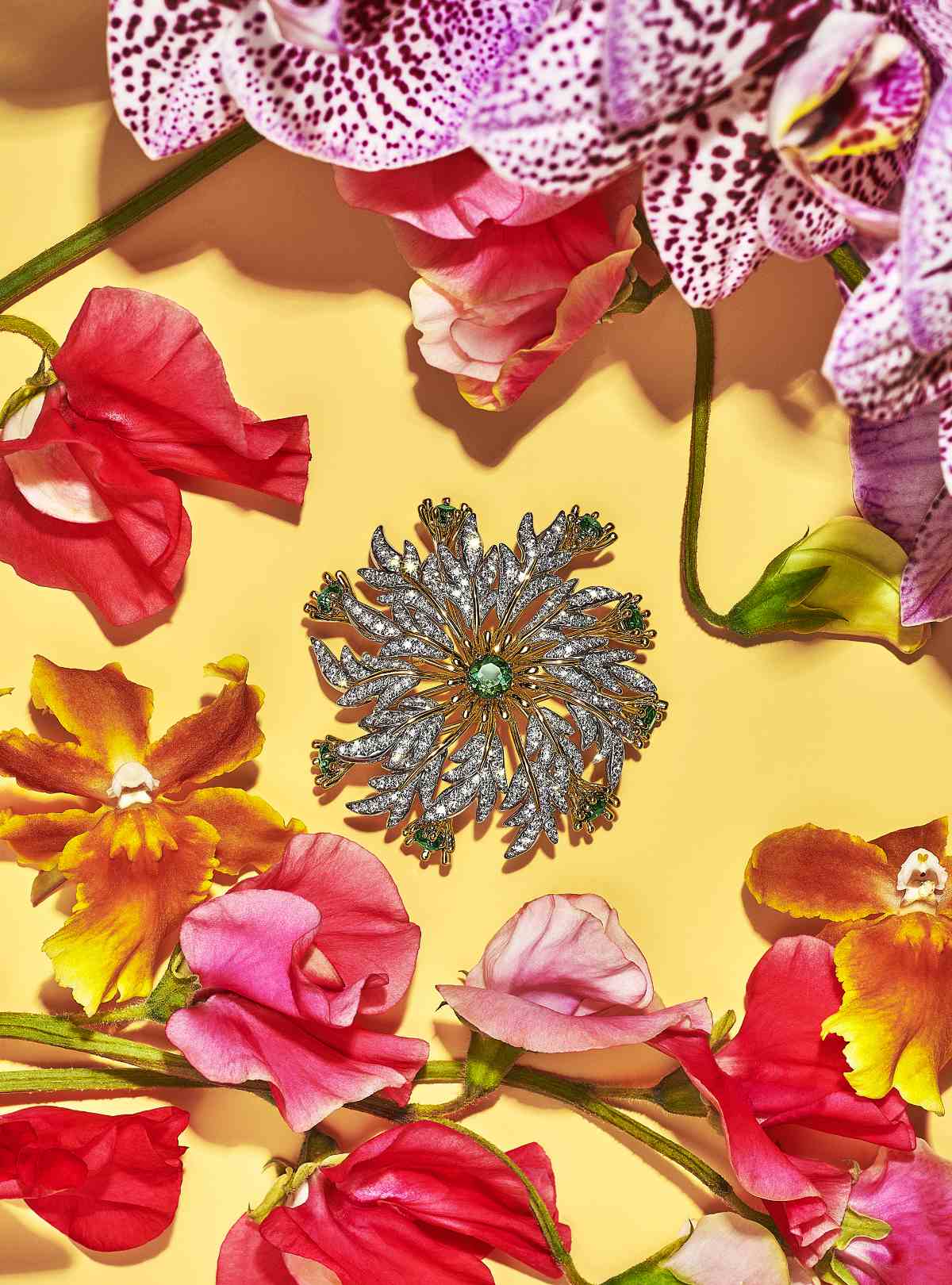 Tiffany & Co. Introduces Its New Blue Book 2022: BOTANICA