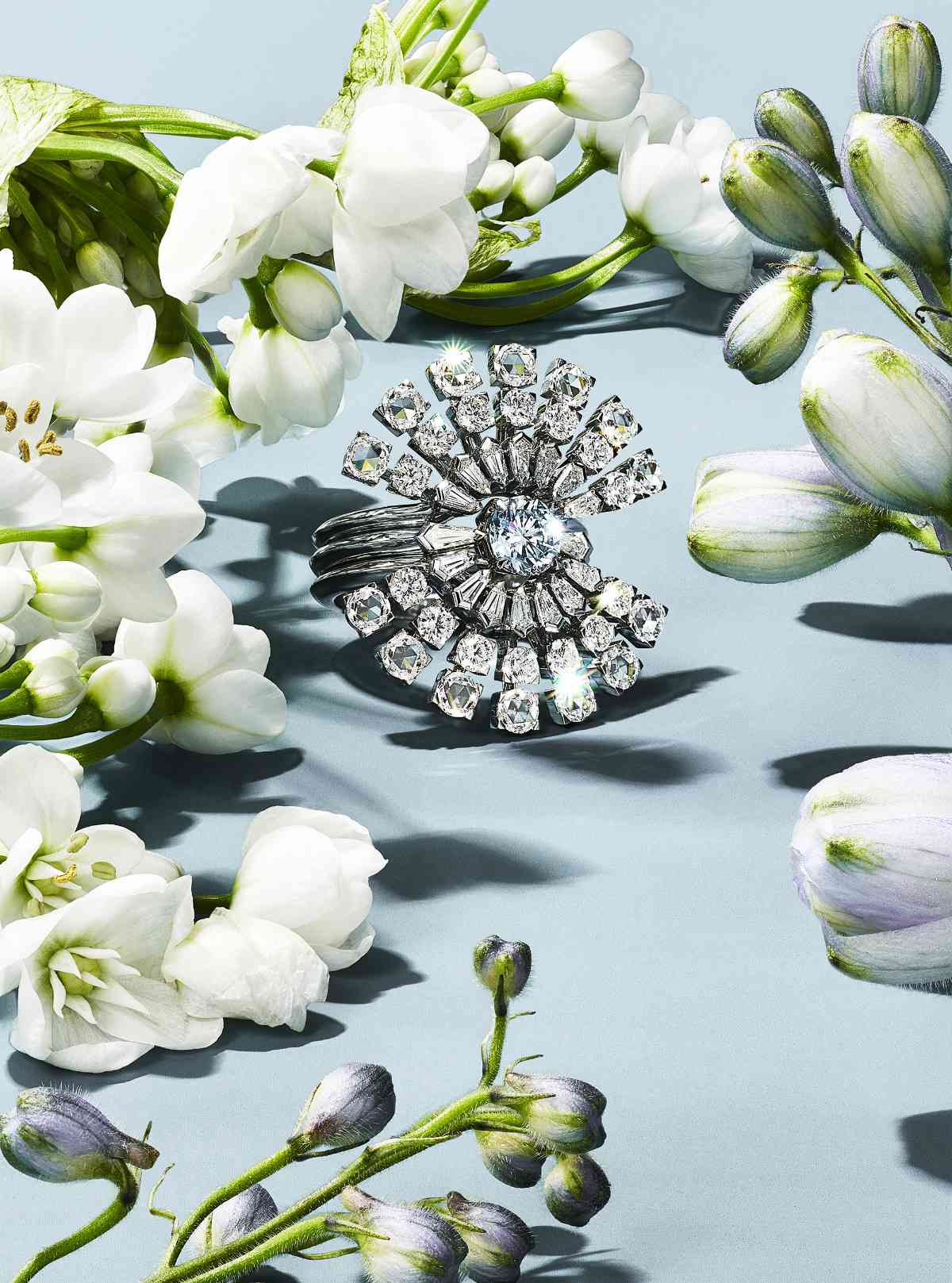 Tiffany & Co. Introduces Its New Blue Book 2022: BOTANICA