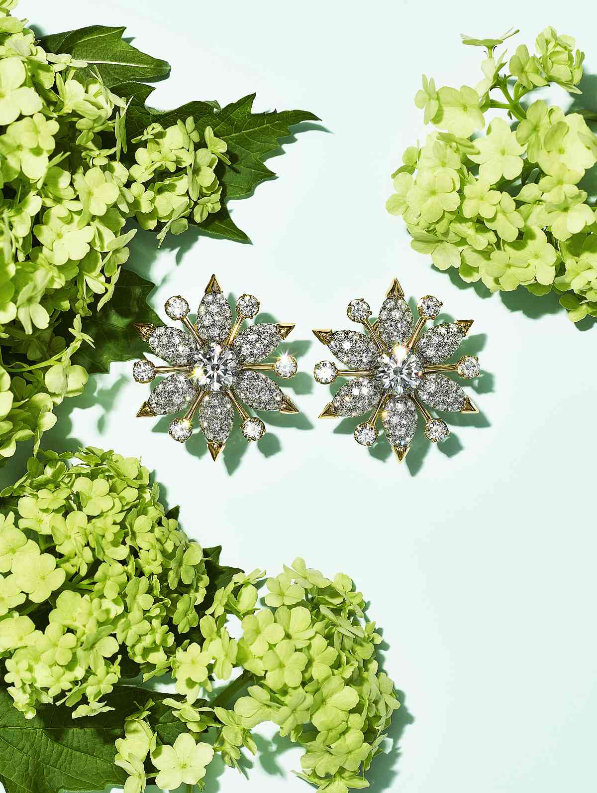 Tiffany & Co. Introduces Its New Blue Book 2022: BOTANICA