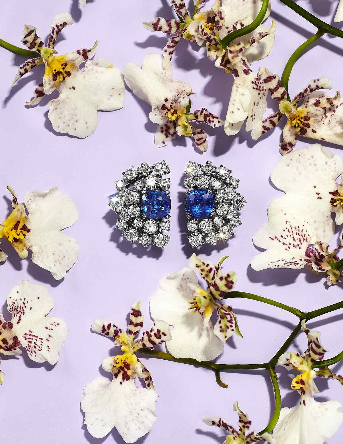 Tiffany & Co. Introduces New Floral-inspired Masterworks For Its BOTANICA