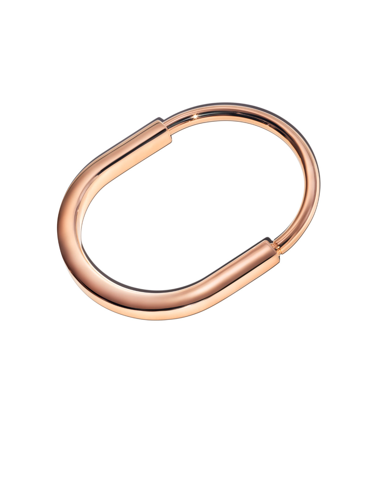 Tiffany & Co. Introduced Its Latest Jewelry Collection: Tiffany Lock