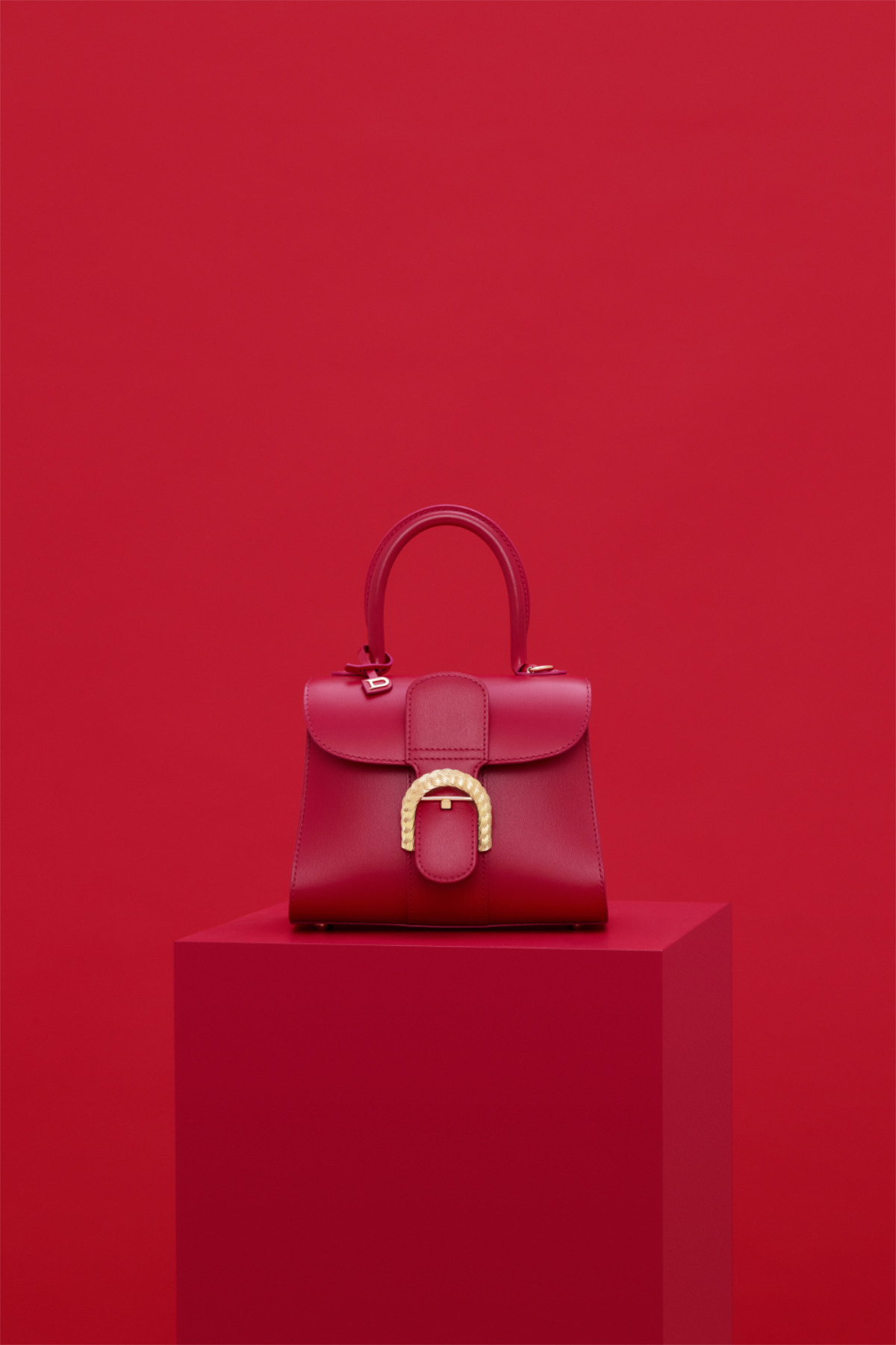 Delvaux, Brillant Mini Precious Rope in Lipstick