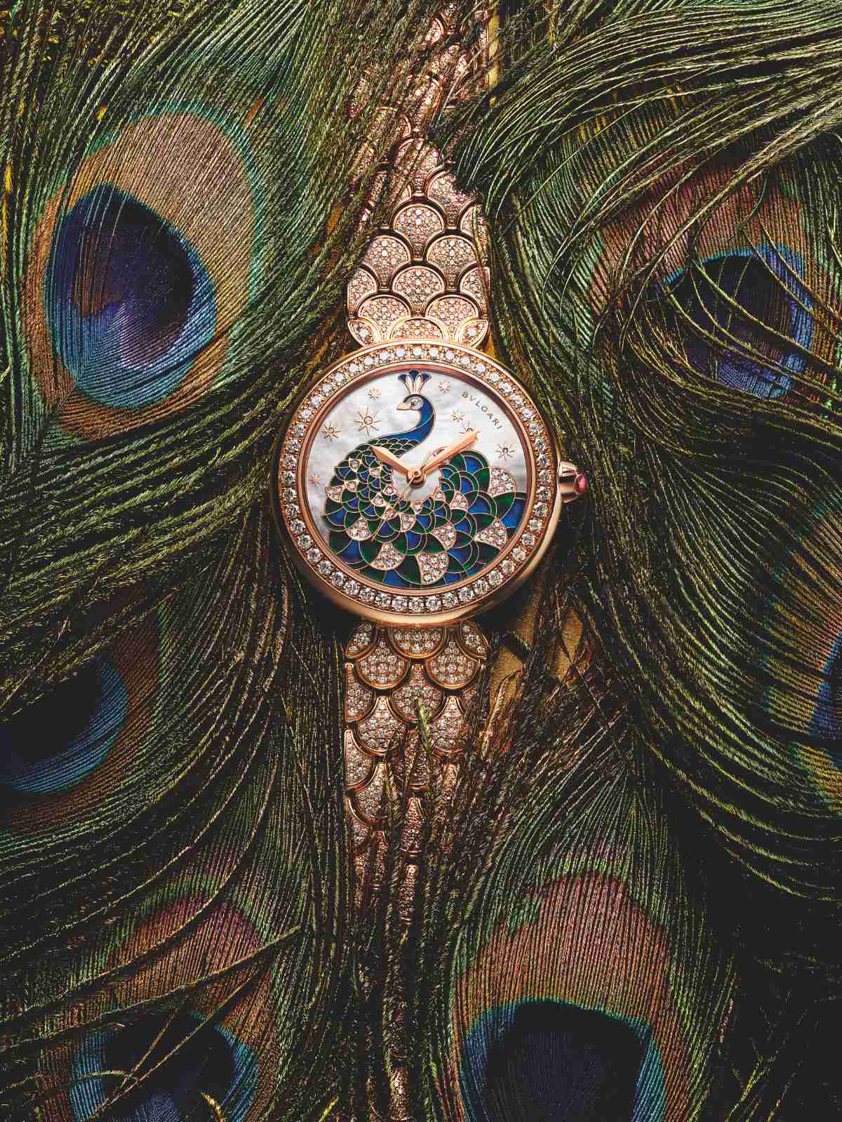 Divas’ Dream Peacock Marquetry - An Ode To The Bird Of Juno