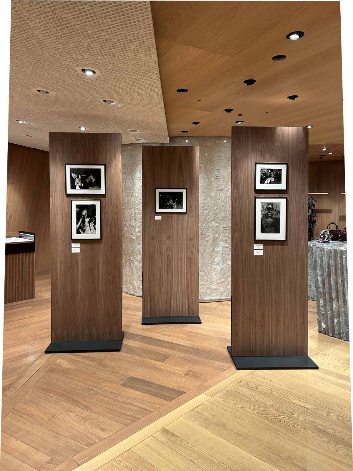 McQueen X Dafydd Jones Paris Photography Installation