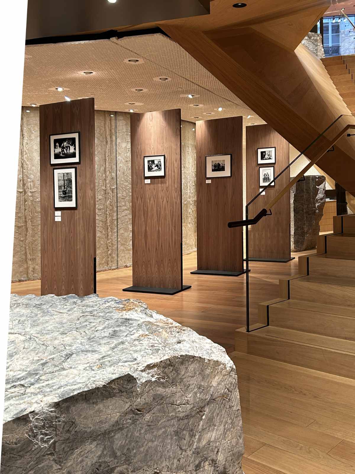 McQueen X Dafydd Jones Paris Photography Installation