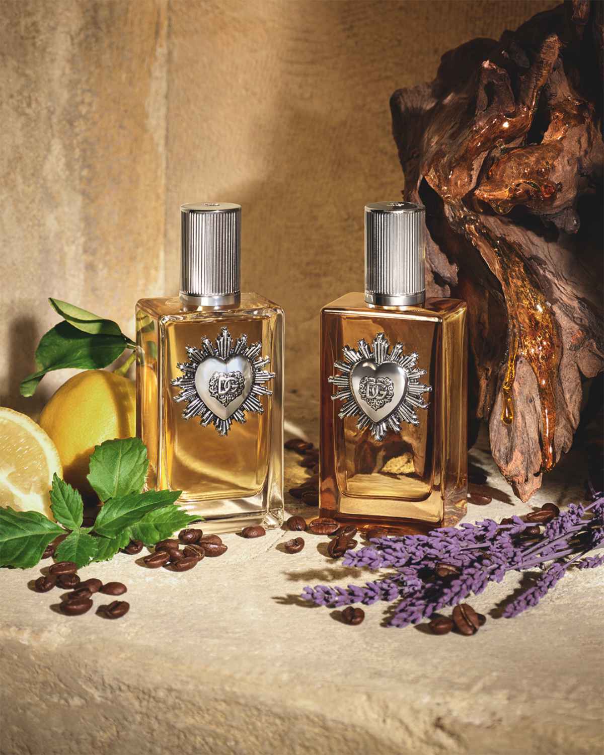 Dolce&Gabbana Unveils Devotion For Men Parfum: A Bold Celebration Of Masculine Elegance