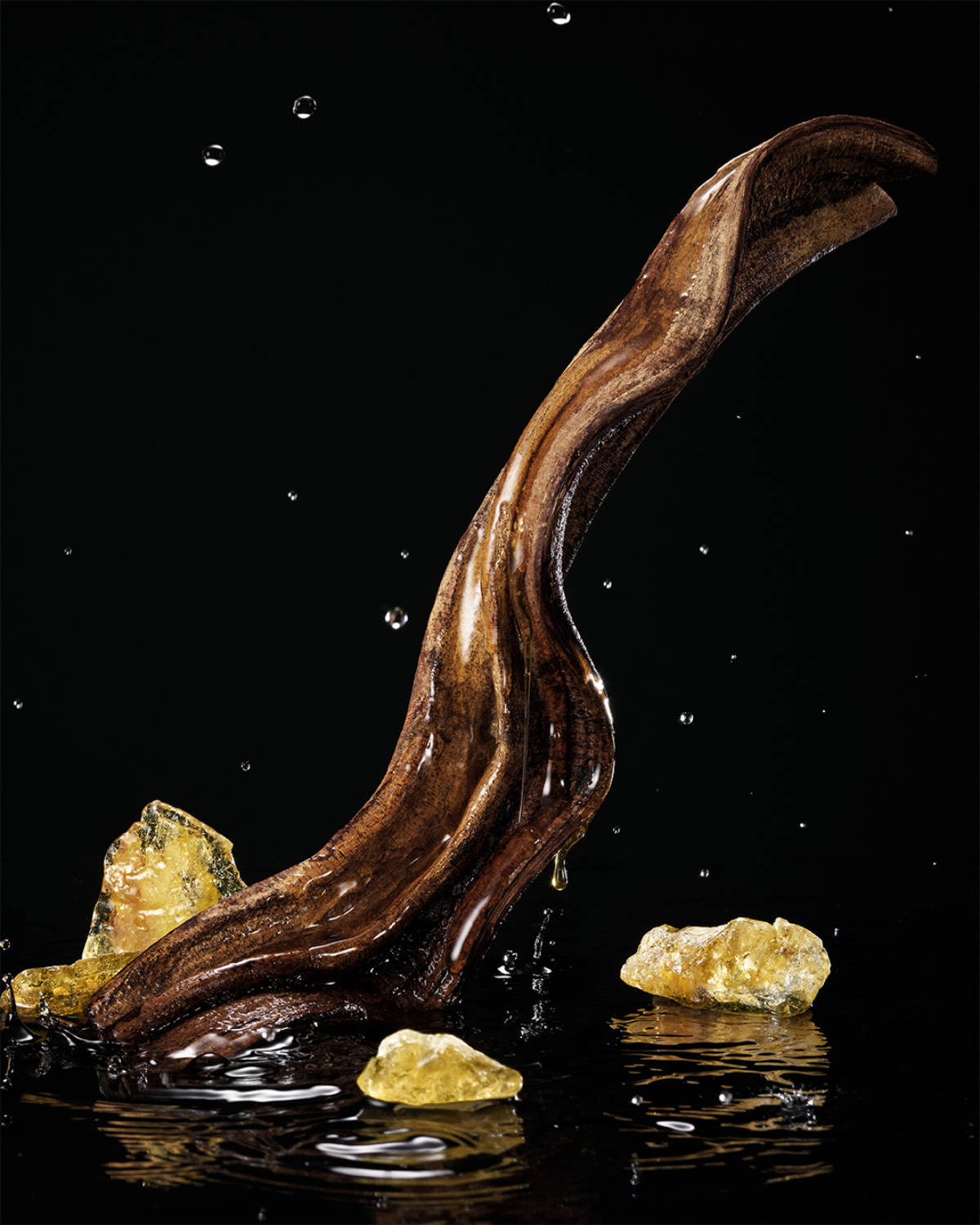 Dolce&Gabbana Introduces Velvet Honey Santal & Velvet Passion Oud
