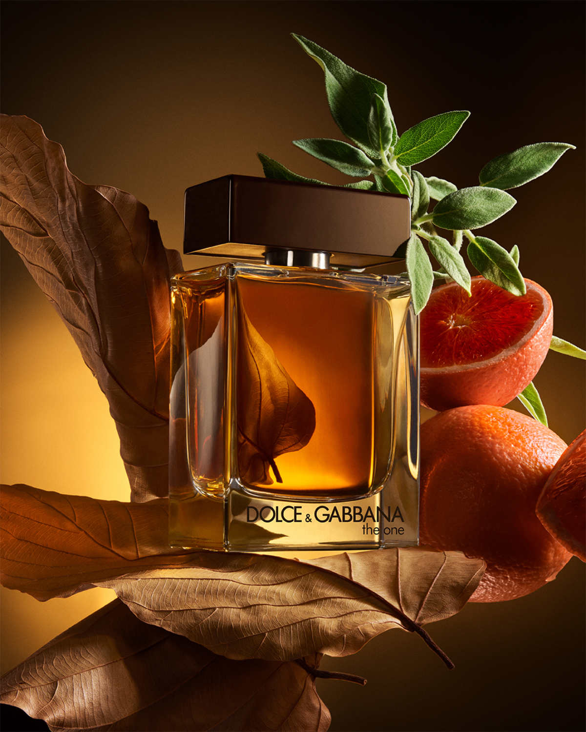 The One 20-Year Evolution: New Intense Editions Redefine Luxury Scent