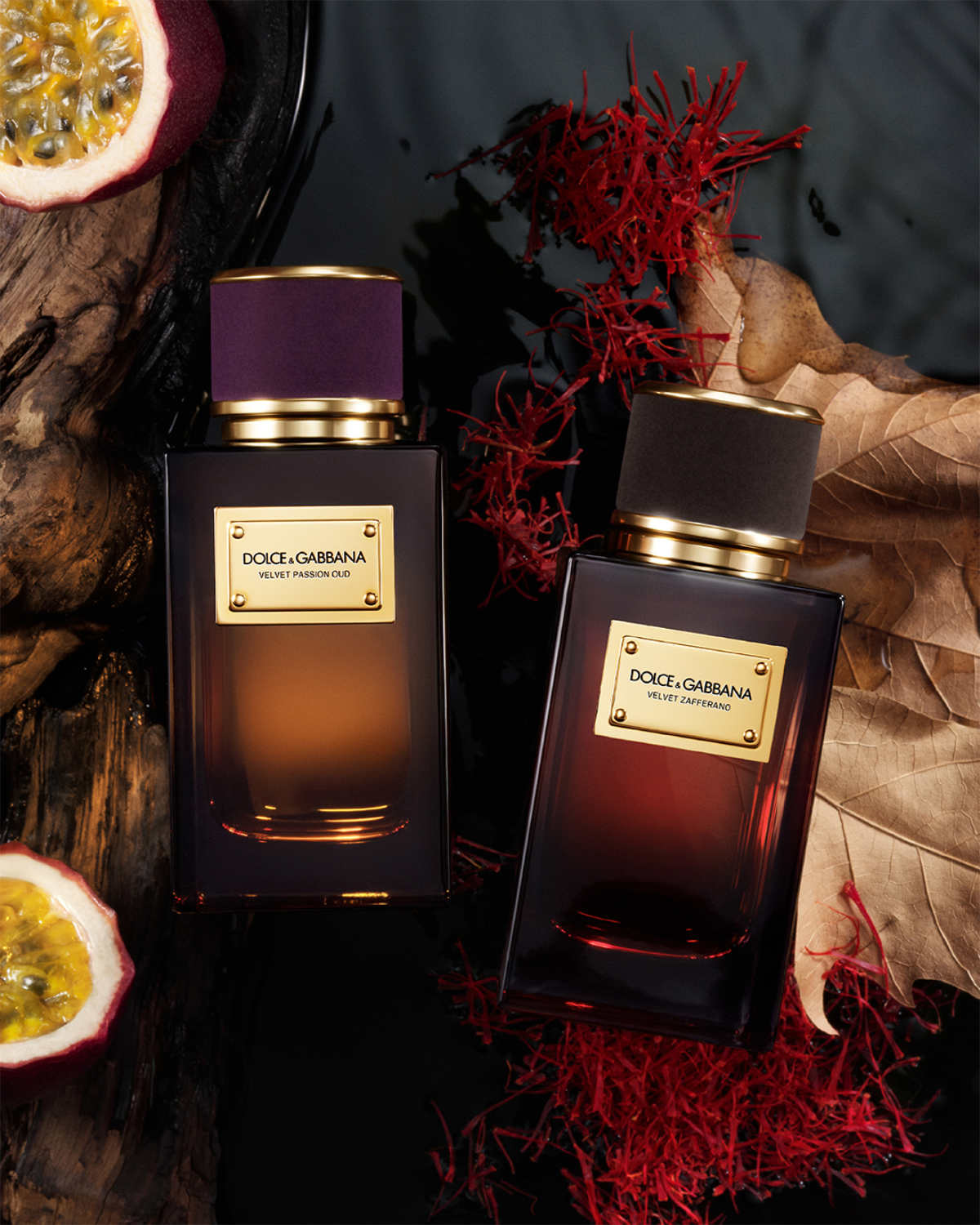 Dolce&Gabbana Introduces Velvet Honey Santal & Velvet Passion Oud