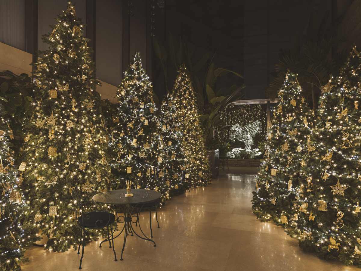 Dior Unveils A Dazzling Holiday Dreamscape At The Iconic 30 Montaigne