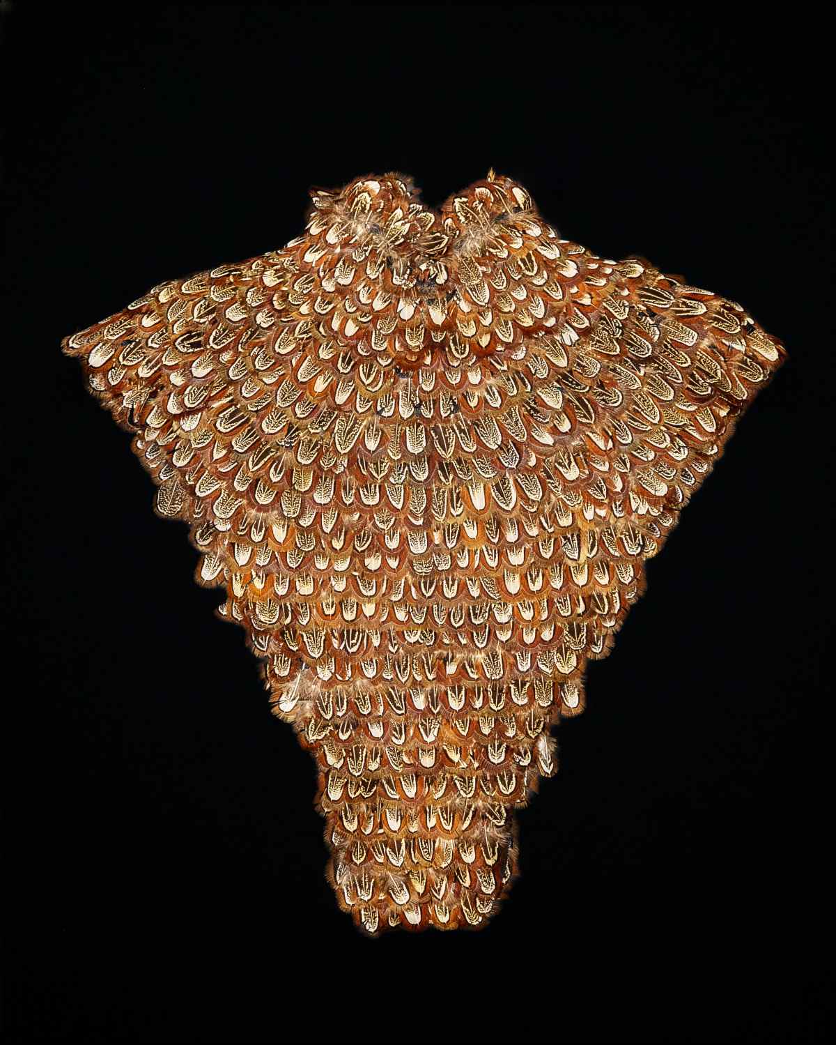 Documenting McQueen - Episode 3: The Widows Of Culloden