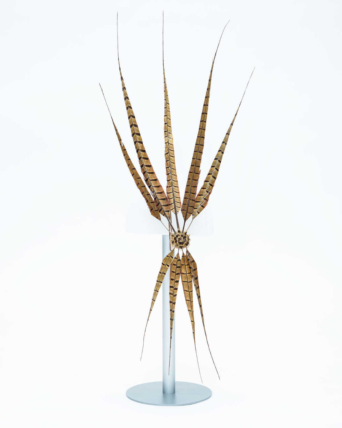 Documenting McQueen - Episode 3: The Widows Of Culloden