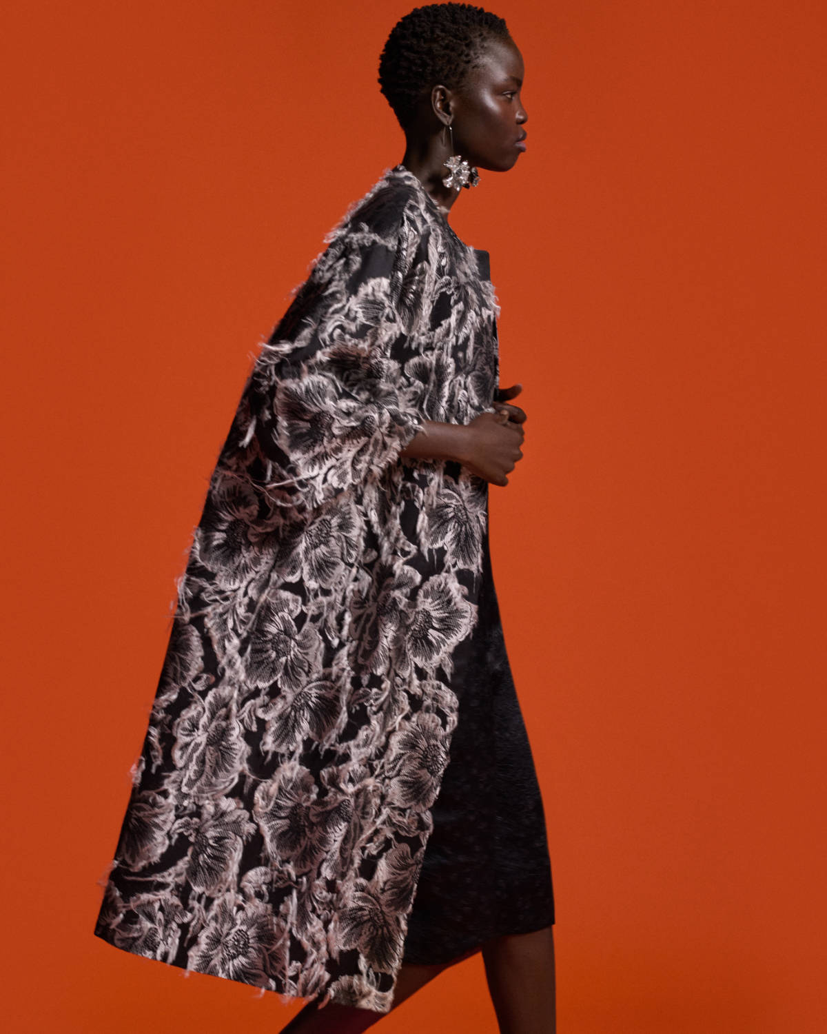 Erdem Presents Its New Pre-Spring 2025 Collection