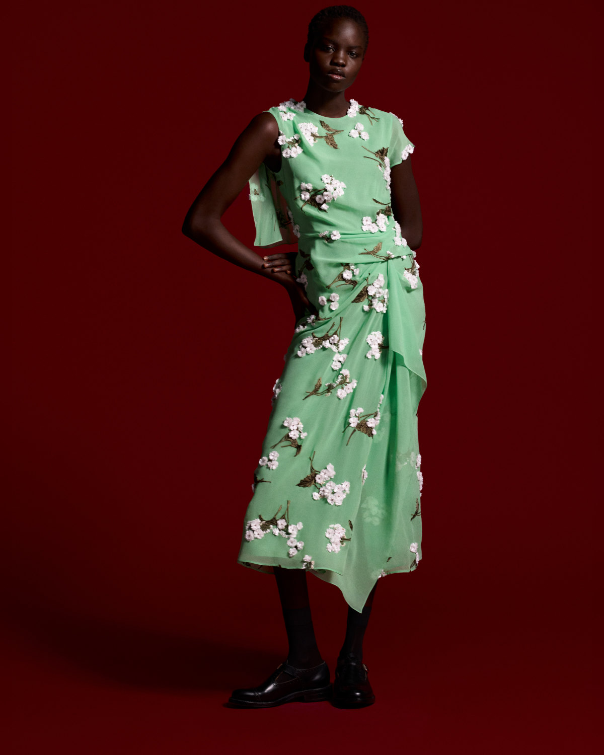 Erdem Presents Its New Pre-Spring 2025 Collection