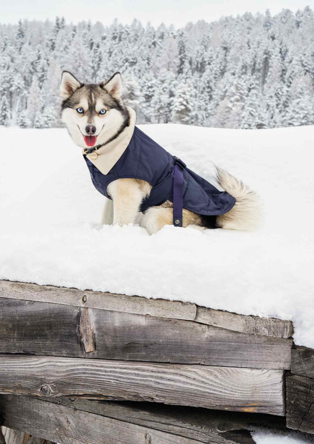 Giorgio Armani Neve Autumn/Winter 2025/26 Collection