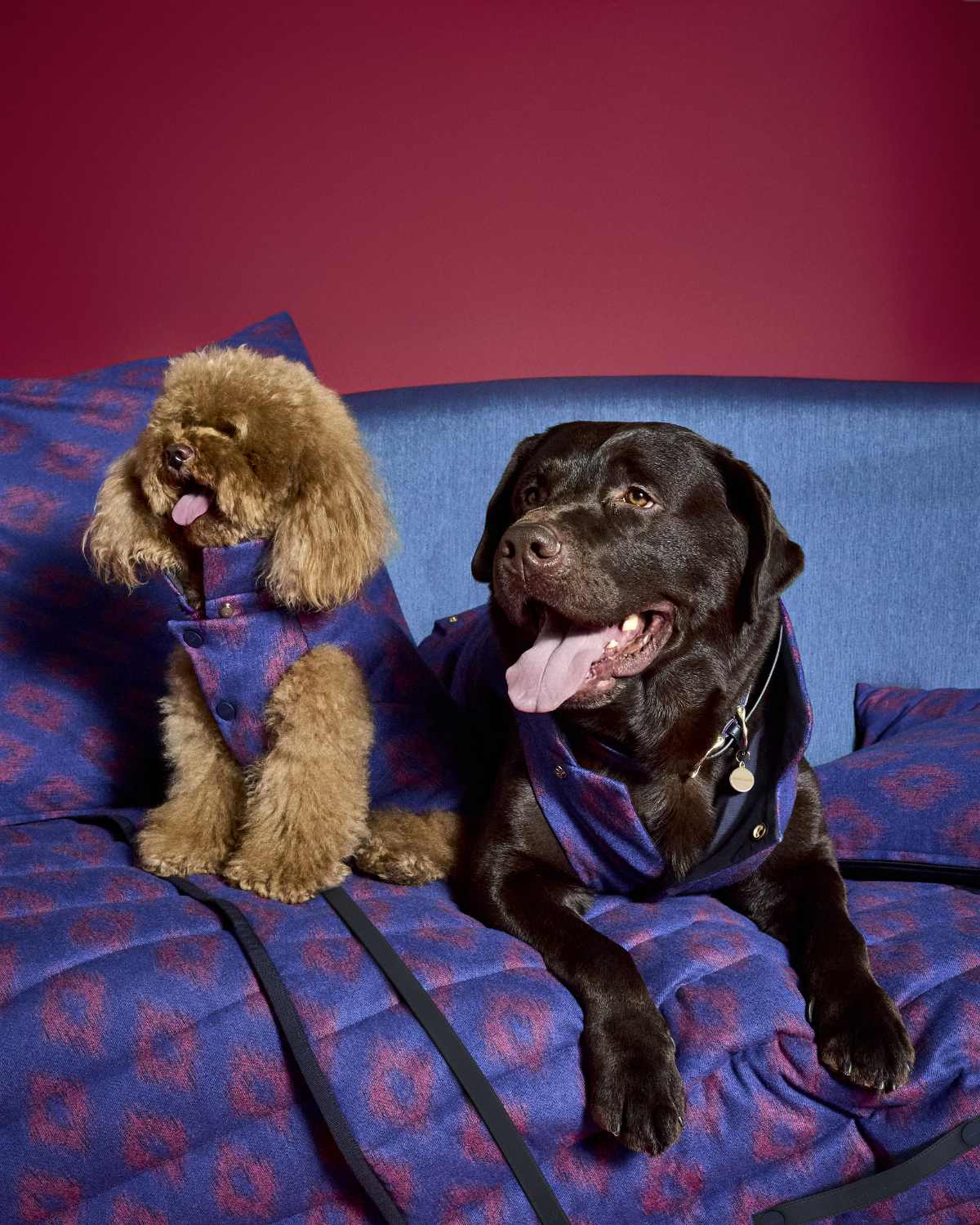 Giorgio Armani X Poldo Dog Couture: New Collection Of Clothing And Accessories For Dogs
