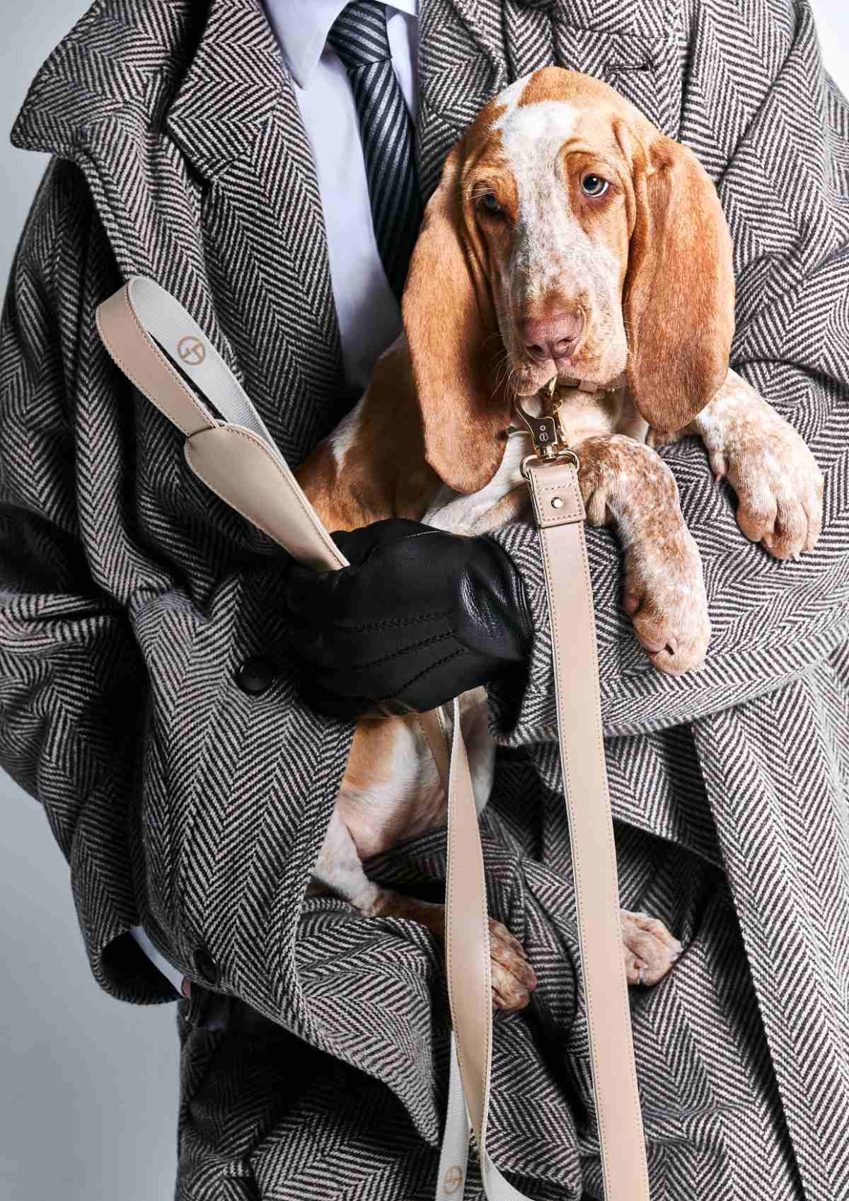 Giorgio Armani Continues The Collaboration With Poldo Dog Couture